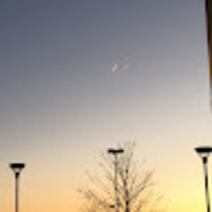 Meet your Posher, Bridget